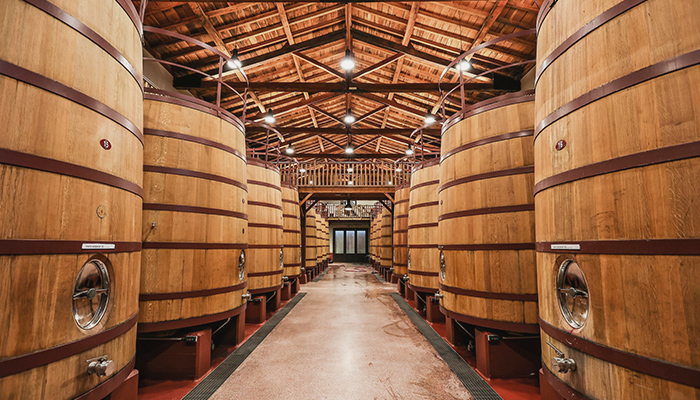 いのちが息づく発酵