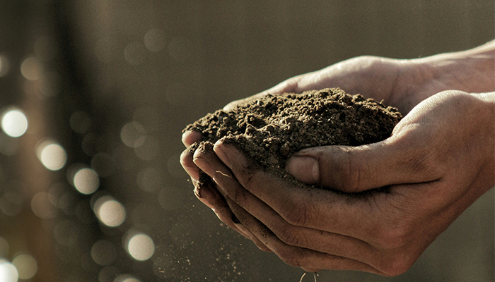 豊かな自然の恵み